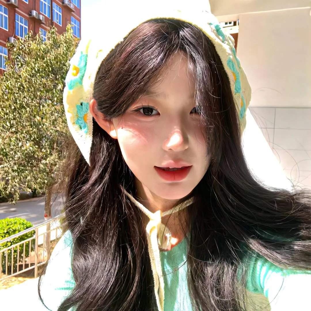 梅花档案
